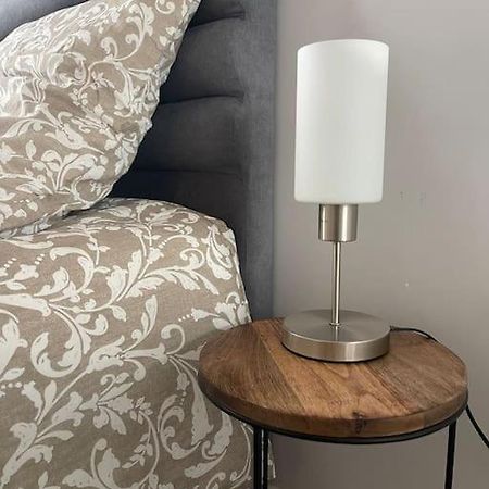 Appartement Entier Climatise - Parking Prive Saint-Martin-dʼHères Zewnętrze zdjęcie