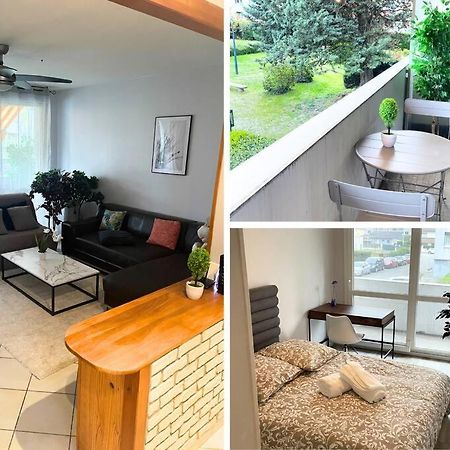Appartement Entier Climatise - Parking Prive Saint-Martin-dʼHères Zewnętrze zdjęcie