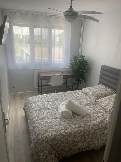 Appartement Entier Climatise - Parking Prive Saint-Martin-dʼHères Zewnętrze zdjęcie