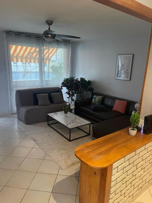Appartement Entier Climatise - Parking Prive Saint-Martin-dʼHères Zewnętrze zdjęcie